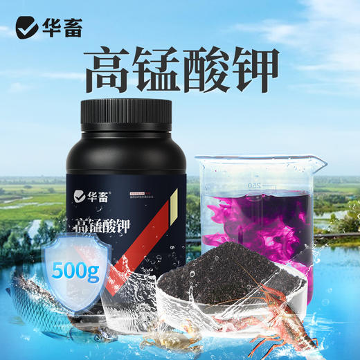 华畜 高锰酸钾500g 杀菌消毒 针对病毒真菌细菌 畜禽 水产通用 商品图0