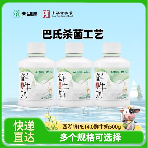 【快递直达】美丽健西湖牌PET4.0鲜牛奶500g 商品图0