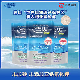 雪涛260G*60包澳洲精制海盐未加碘