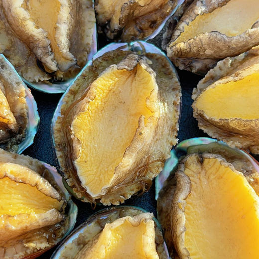 【超值3袋】舟选 活冻鲍鱼 低温急冻锁鲜 接近鲜活口感 鲜活捕捞 个大肉厚 200g/袋 商品图6