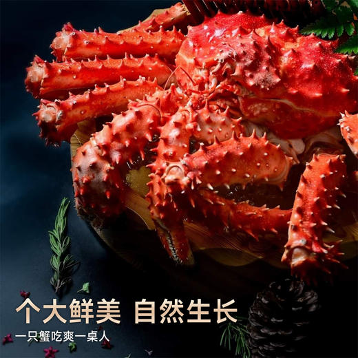 海朴熟冻整只帝王蟹多规格可选节日送礼家庭聚餐 商品图6