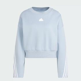 阿迪达斯运动卫衣199.90（线上线下同步销售，不一定有货，介意勿拍）550338-GY