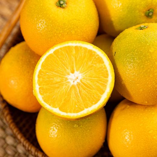 盈香园 哀牢山3000橙4.5kg(珍品) 商品图6