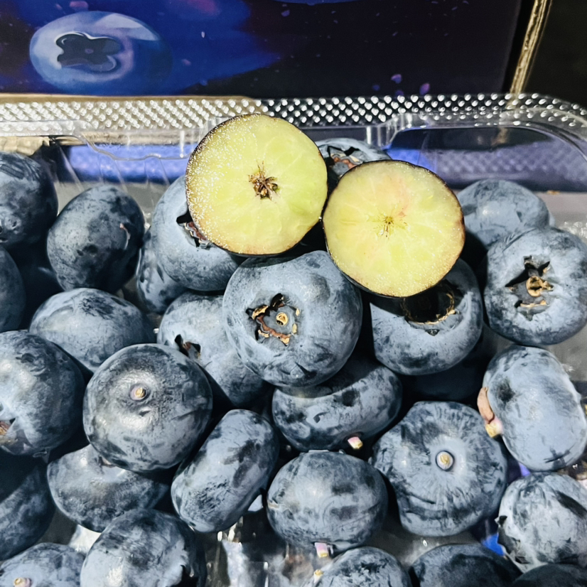 大果18mm 国产蓝莓新鲜蓝莓  多规格可选     脆甜 护眼小能手包装随机发