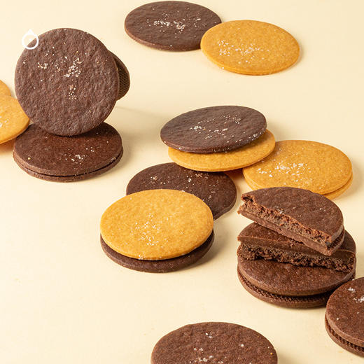 企鹅吃喝|艾许黄油小饼干 布列塔尼盐之花薄饼/巧克力榛果夹心沙布蕾饼干 多种口味可选 商品图1