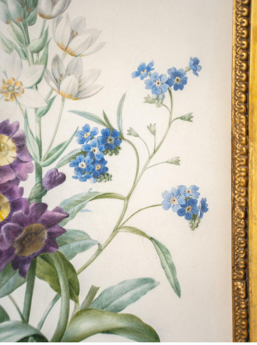 独角鹿西洋古董1813年代法国画师比利时植物学家Pierre-Joseph Redouté签名创作花卉主题水彩画 商品图6