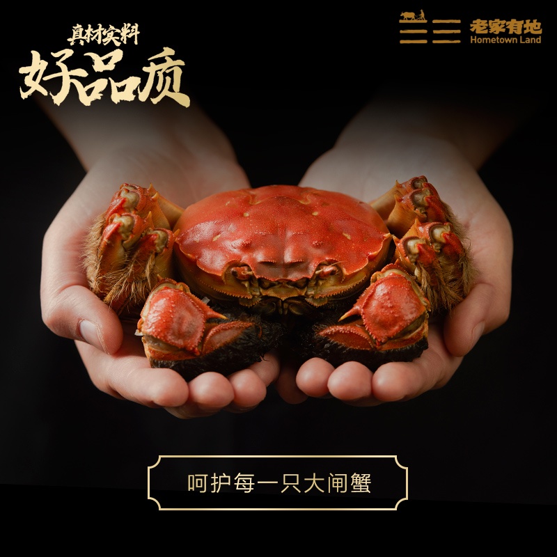 （提货卡）老家有地 兴化红膏蟹 1388型 3.5两母8只