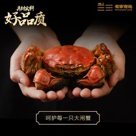 （提货卡）老家有地 兴化红膏蟹 1388型 3.5两母8只