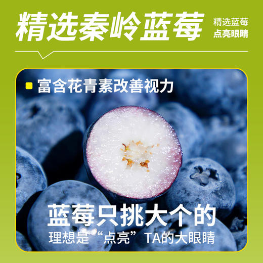 疯狂小狗狗粮中小型大型犬泰迪比熊鸡肉蓝莓成犬幼犬泪痕美毛2kg 商品图4