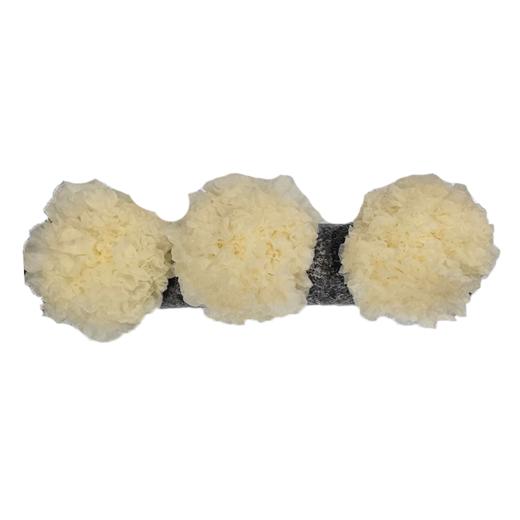 活体鲜银耳（棒） 商品图0