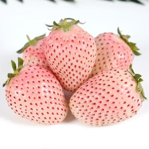 粉玉草莓250g/盒 商品图2