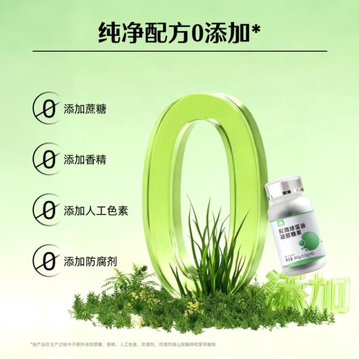 【 新老包装随机发货】草牧里 拟微球藻油凝胶糖果 90粒/瓶 精纯提炼严保品质 商品图5