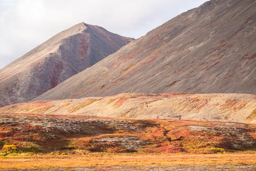 俄罗斯「熊包多」极限远东22天|棕熊+北极熊世界最密集! 商品图6