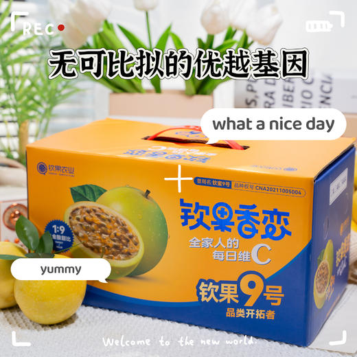 【钦果9号黄金百香果】不用加蜂蜜的百香果，甘甜如蜜，可做清凉饮料 商品图3