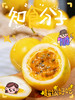 【钦果9号黄金百香果】不用加蜂蜜的百香果，甘甜如蜜，可做清凉饮料 商品缩略图11