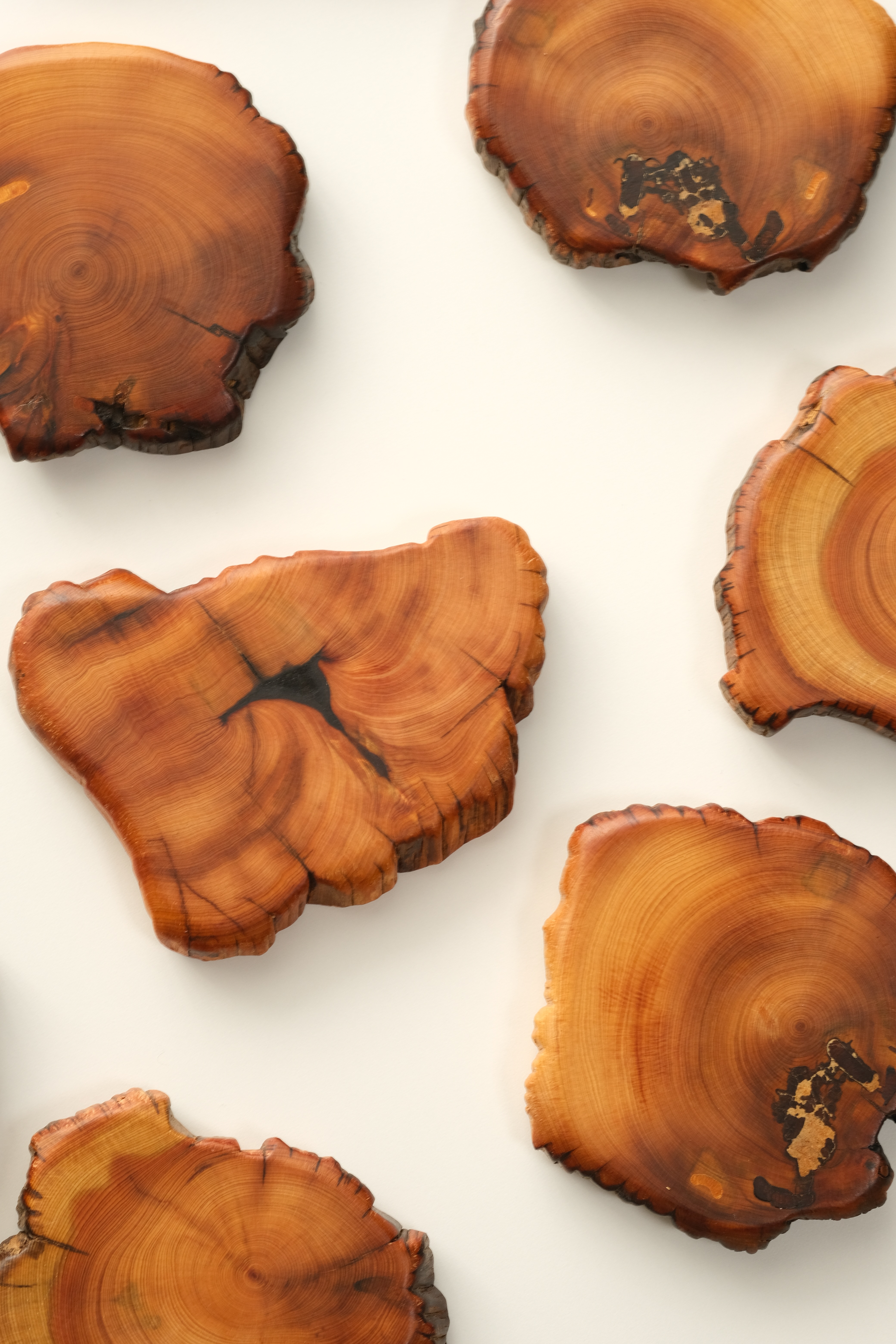 双12特价 精挑超级香 700年以上太行山崖柏杯托 桌垫  香气很浓郁油脂明显