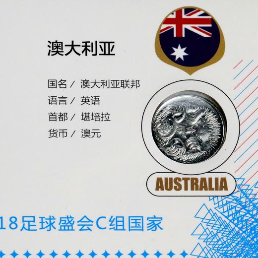 世界杯32强纪念币大全套！一次集齐！ 商品图7