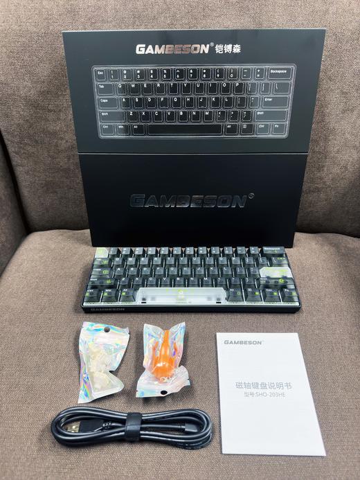 【WXXXTING同厂秀育代工  】61键热插拔RGB背光悬浮式磁轴键盘 商品图6