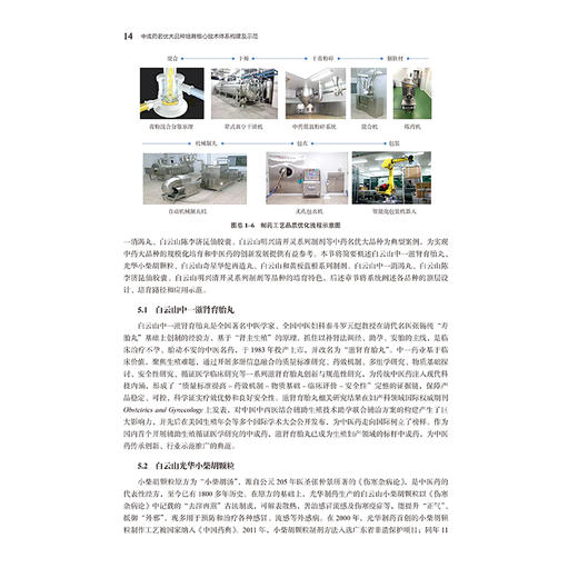 中成药名优大品种培育核心技术体系构建及示范 刘菊妍 主编 系统阐述了中成药大品种的顶层设计理念和方法 中国医药科技出版社 商品图4