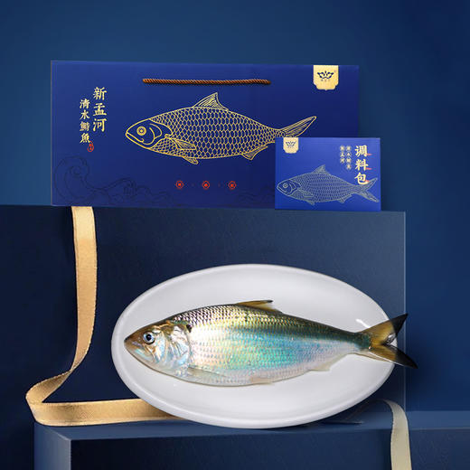 【直送到家】新孟河清水鲥鱼 鲜活出水 现捕现捞 多种规格实物礼盒包邮到家 商品图1
