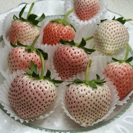 顺丰次日达丨云南高原粉玉草莓 商品图2