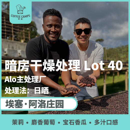 25产季 埃塞 阿洛 Alo 暗房 LOT 40 日晒（生豆）空运批次 商品图0