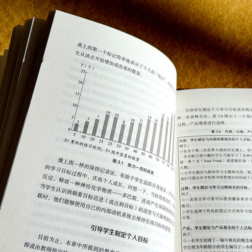 教学升级 理解为先教学（UbD）联结教育神经科学 大夏书系 培养学习力译丛 商品图11