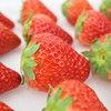 【丹东草莓】香甜软嫩顺滑，甜中略带一丝酸，9甜1酸，颗颗饱满，甜奶香气浓郁 商品缩略图2