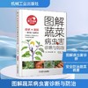 图解蔬菜病虫害诊断与防治 商品缩略图0