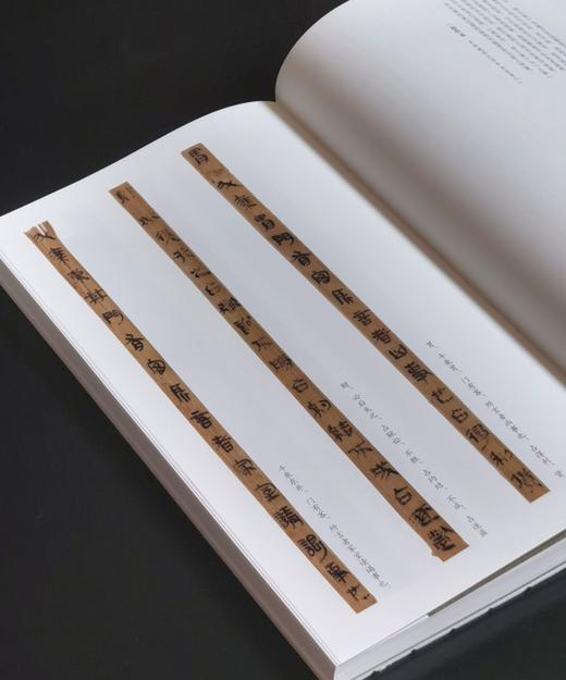 【重磅推荐】《简牍书法经典四十品》，精装，大16开，陈阳静主编，岳麓书社2025年11月一版一印，384页，定价398，售价198元 商品图11