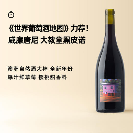 企鹅市集|精品黑皮诺3支装 德国VDP产区明星村级酒款 澳洲自然酒大神威廉唐尼 新晋顶流日月星辰 Pinot价格洼地组合！ 商品图3