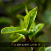 12月13日中午12点【后山麓细叶公主】2025年头春古树普洱茶界稀缺王‘品细叶公主，享帝王口福’联合王天老师共同制作出售 商品缩略图9