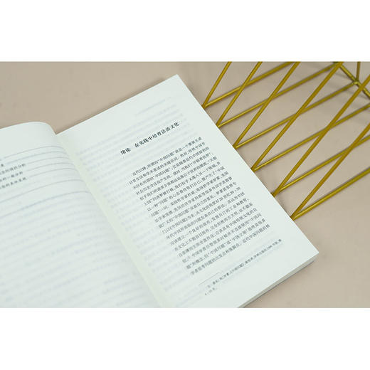 法治文化的实践培育研究 王金霞著 法律出版社 商品图3