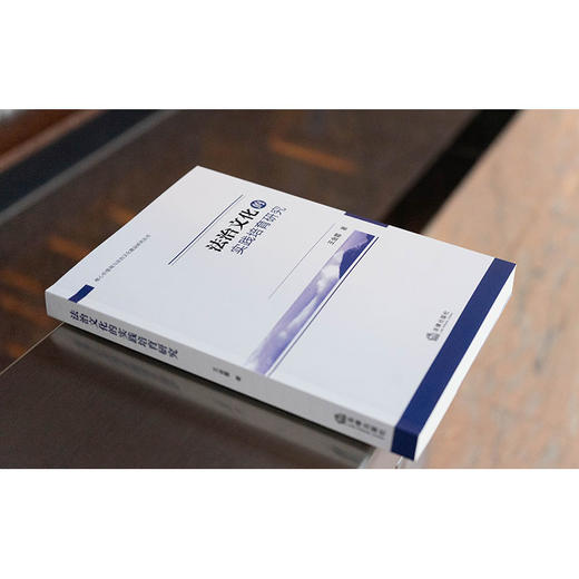 法治文化的实践培育研究 王金霞著 法律出版社 商品图1