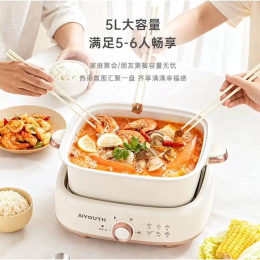 艾青春5L多功能分体电火锅AI-HG666    YS 商品图0