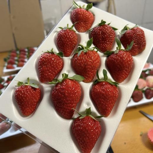 顺丰次日达丨云南高原奶油草莓 商品图1