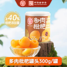 德和 多肉枇杷罐头300g  水果罐头 #润