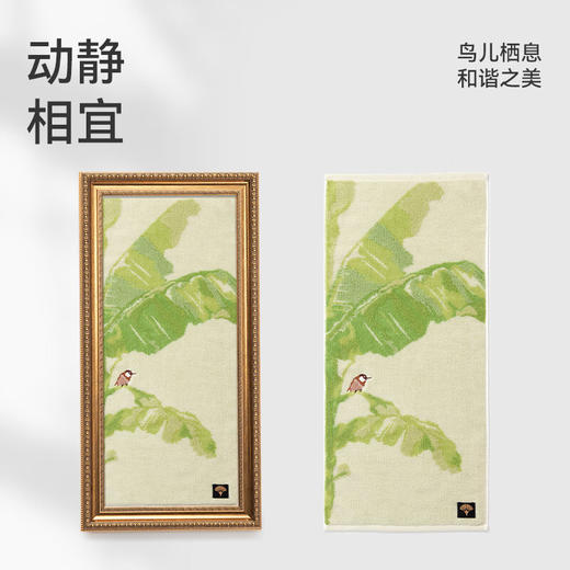 洁玉蕉夏听吟毛巾 单条礼盒装 商品图0