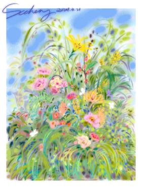 锦江丨SCC·野花集