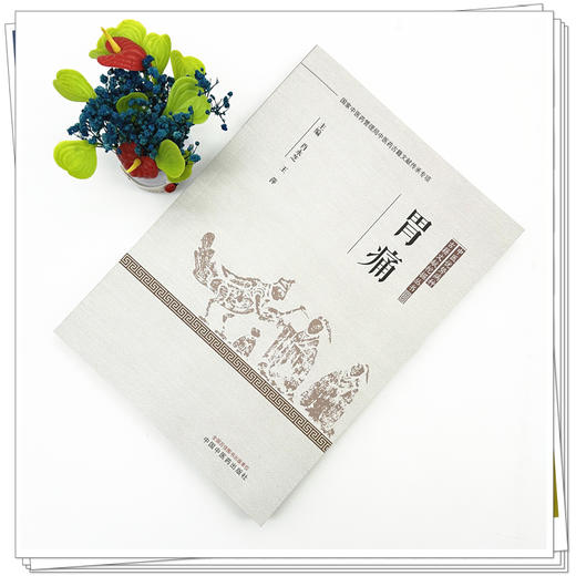 胃痛 中医优势病种古籍文献挖掘丛书 肖永芝 王萍 主编 中国中医药出版社 商品图1