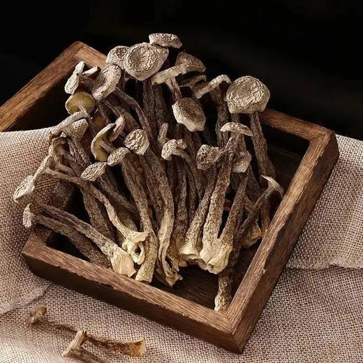 半亩川 吉祥山珍1225g 商品图2