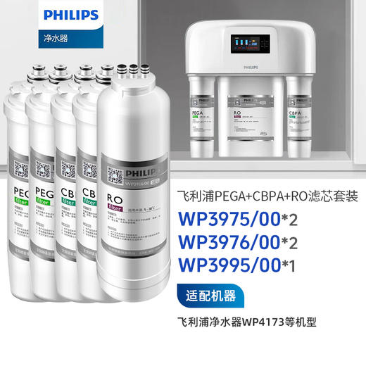 飞利浦净水器WP4173两年五支滤芯组合 【WP3975*2+WP3976*2+WP3995】 商品图0