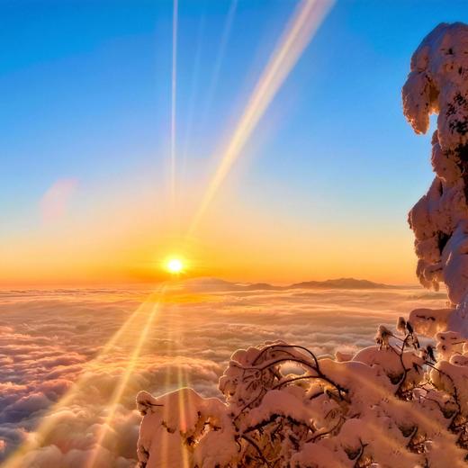 【奇境瓦屋山·青春旅行团】瓦屋山x柳江古镇2日游 商品图5