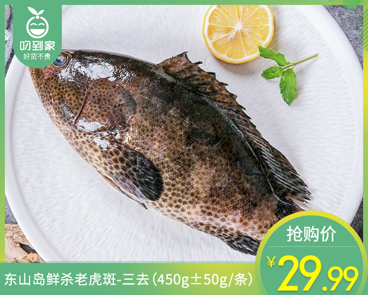 东山岛鲜杀老虎斑-三去（450g±50g/条）