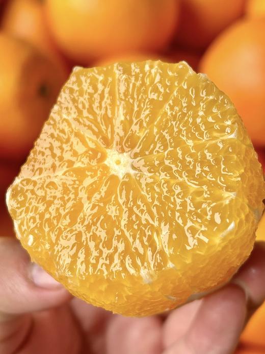 赣南脐橙 | 最有橙子味儿的橙子🍊现摘现发·鲜甜多汁·0差评团友无限回购!!! 商品图2