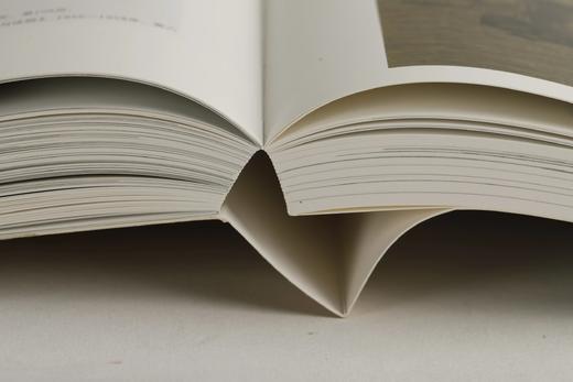 《八代遗珍：克利夫兰艺术博物馆藏中国书画》克利夫兰艺术博物馆 编，[德]史明理 主编，[美]何惠鉴等 撰文，朱亮亮 译 商品图9