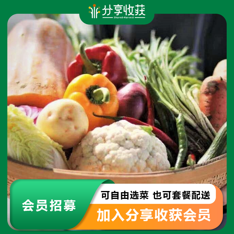 会员招募 | 可自由选菜 也可套餐配送 | 加入分享收获会员  享会员专属福利 * Recruit New Members