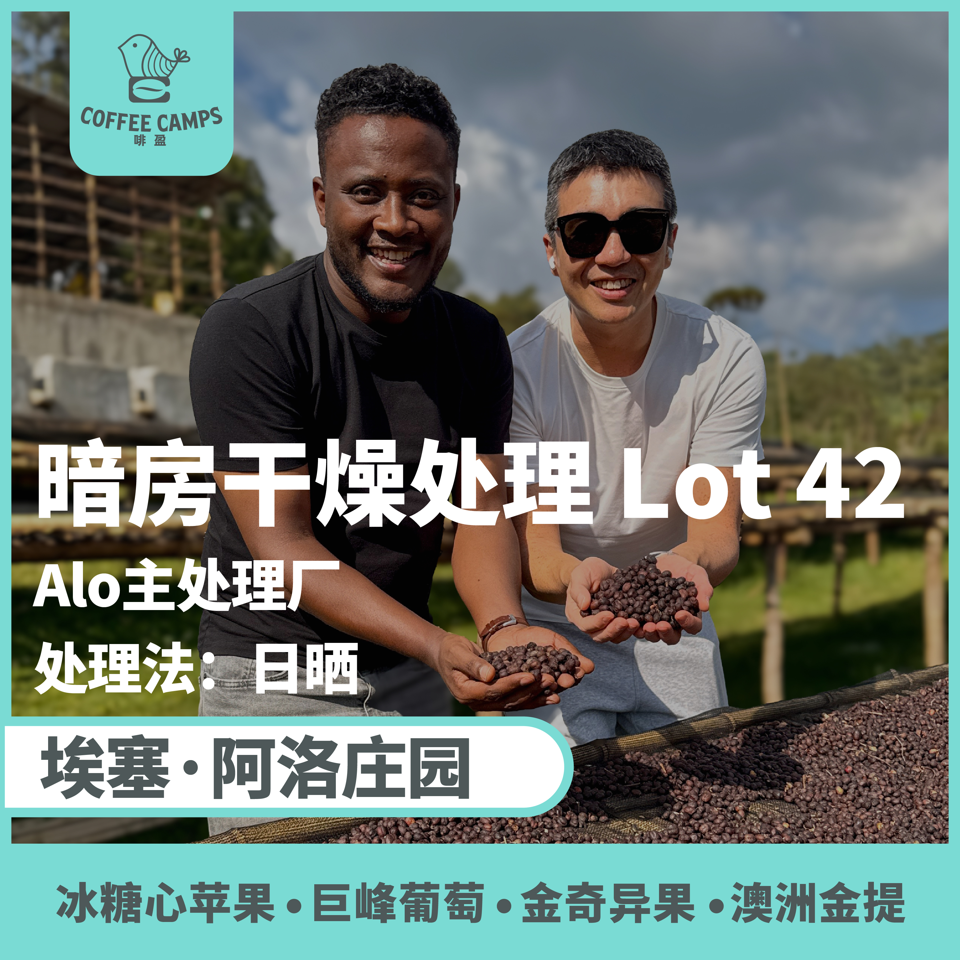 25产季 埃塞 阿洛 Alo 暗房 LOT 42 日晒（生豆）空运批次