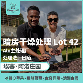 25产季 埃塞 阿洛 Alo 暗房 LOT 42 日晒（生豆）空运批次