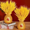 黄金大麦麦穗天然大麦穗干花春节客厅家居摆件乔迁开业庆典装饰花 商品缩略图2